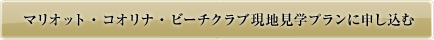 �}���I�b�g�E�R�I���i�E�r�[�`�N���u���n���w�v����