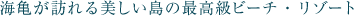 �C�T���K�����������̍ō����r�[�`�E���]�[�g