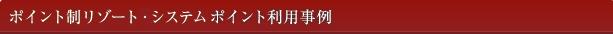 �����o�[�V�b�v�E�v���O���� �|�C���g���p����