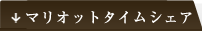 �}���I�b�g�^�C���V�F�A