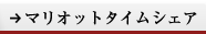 �}���I�b�g�^�C���V�F�A