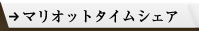 �}���I�b�g�^�C���V�F�A