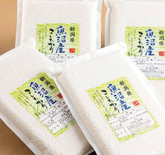 新潟県魚沼産こしひかり（新鮮パック）