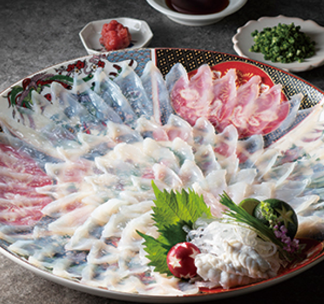 「下関 天白ひらこし」とらふく刺身菊盛り