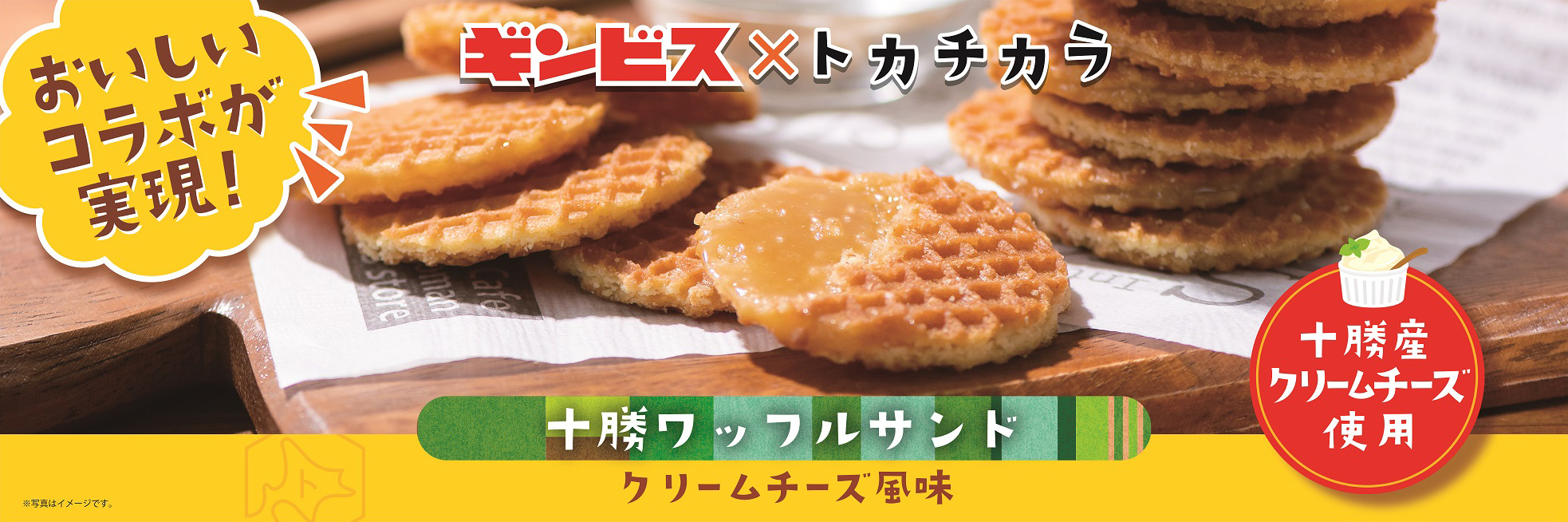 ギンビス　×　トカチカラ