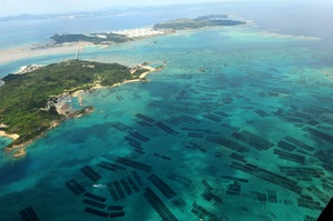 jalux_katsuren-fujisoba-jalux_sub.jpg