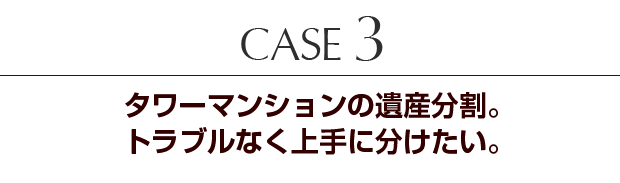 Case3 タワーマンションの遺産分割。トラブルなく上手に分けたい。