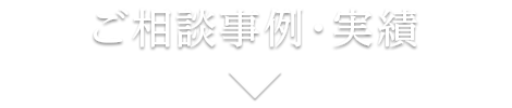 ご相談事例・実績
